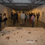 topkapı üniversitesi