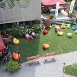 istanbul topkapı üniversitesi kampüsler