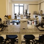 topkapı üniversitesi sağlık laboratuvarları